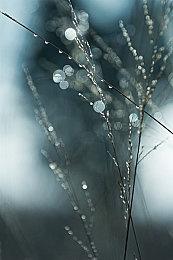 《验尸模拟器》PC配置公开 试玩版开放资格申请